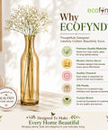 ecofynd 3.1 Inches Glass Vase for Flower Plants