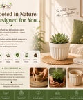 ecofynd 3.5 Inch White Ceramic Plant Pots with Drainage Hole