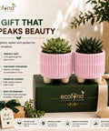 ecofynd 3.5 Inch Ceramic Plant Pots with Drainage Hole