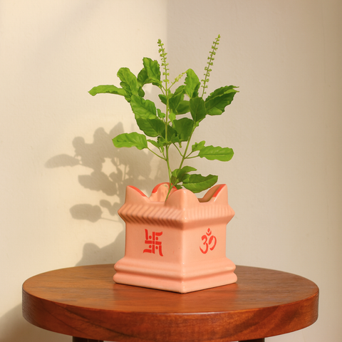 tulsi plant indoor Ceramic Tulsi Plant Pot Peach Color – Elegant Spiritual & Indoor Plant – Ecofynd