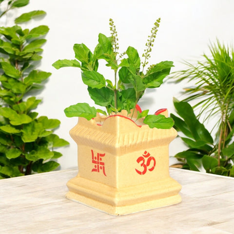 potted tulsi plant Ceramic Tulsi Plant Pot Yellow Color – Elegant Spiritual & Indoor Plan – Ecofynd