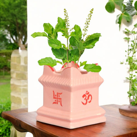 tulasi plant pot Ceramic Tulsi Plant Pot Peach Color – Elegant Spiritual & Indoor Plant – Ecofynd