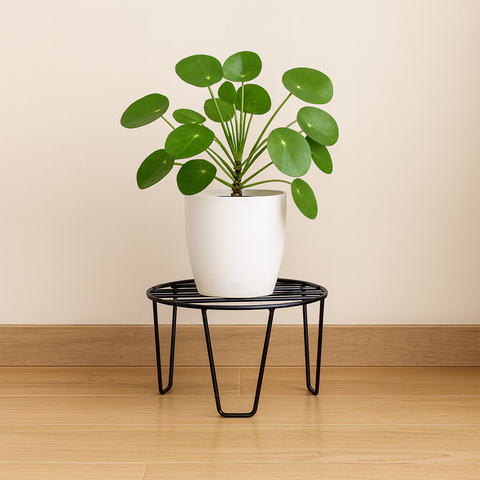Ecofynd Iron Plant Stand – Elegant Indoor Outdoor Pot Holder