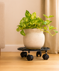 ecofynd SpinX Cast Iron Rolling Plant Caddy Stand (80kg, 11")