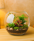 ecofynd 4 Inch Glass Terrarium Bowl