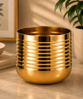 ecofynd Premium Golden Metal Planter – 5 Inch, Spiral Design