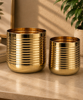 ecofynd Premium Golden Metal Planter – Set of 2, Spiral Design