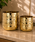 ecofynd Premium Golden Metal Planter – 7 and 5 Inch, Symmetrical Oval Design