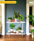 Ecofynd Eric Metal Plant Stand – Sturdy, Powder-Coated, Multipurpose