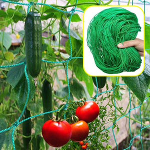 ecofynd Tangle-Free Durable Garden Trellis Net (6x3 ft) – Boost Plant Growth