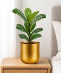 Ecofynd Succulent Gold Metal Plant Pot