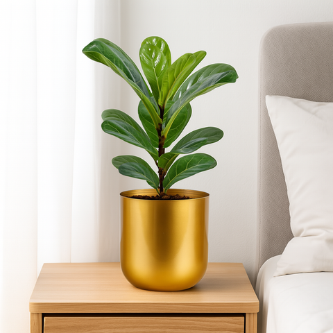 Ecofynd Succulent Gold Metal Plant Pot