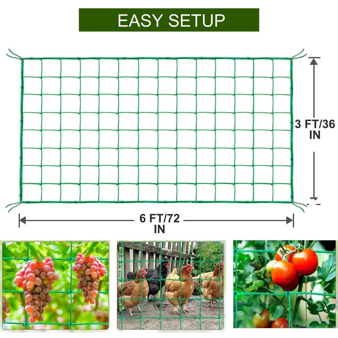 Tangle-Free Durable Garden Trellis Net (6x3 ft) – Boost Plant Growth ...
