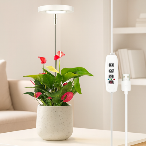 ecofynd Lumi Grow Light for Indoor Plants | Full Spectrum Plant Lamp for Seedlings, Succulents, Small Plants