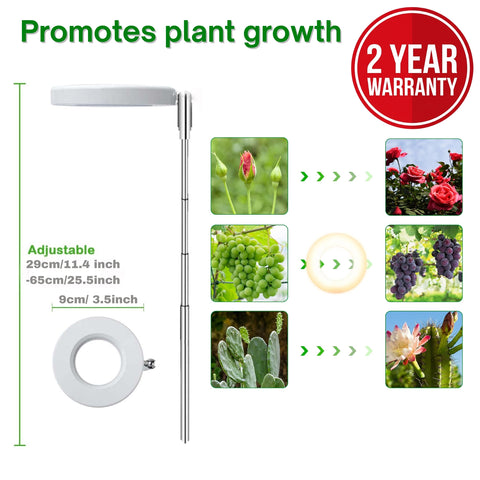 ecofynd Lumi Grow Light for Indoor Plants | Full Spectrum Plant Lamp for Seedlings, Succulents, Small Plants
