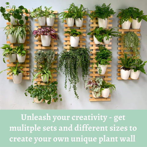 wooden frame for hanging plants Nature's Frame – Wooden Wall Planter by Ecofynd