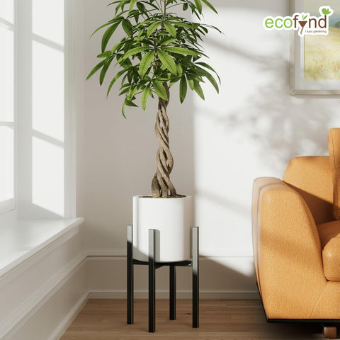 ecofynd Daxton Adjustable Plant Stand – Elevate Your Green Space with Style & Strength
