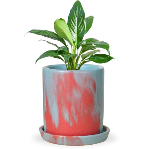 ecofynd Elegant Glow – Premium Ceramic Plant Pot with Timeless Charm