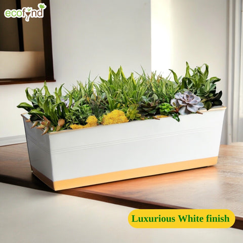 oblong plant pot Ecofynd Luxe White & Gold Rectangular Metal Planter Box for Indoor & B
