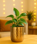 ecofynd 5 Inch Ivara Metal Plant Pots