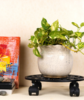 ecofynd SpinX Cast Iron Rolling Plant Caddy Stand (80kg, 11")