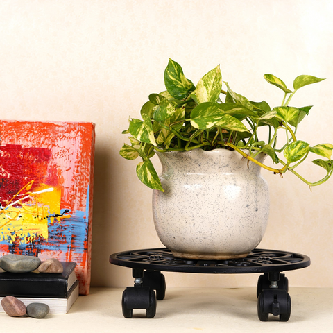 ecofynd SpinX Cast Iron Rolling Plant Caddy Stand (80kg, 11")