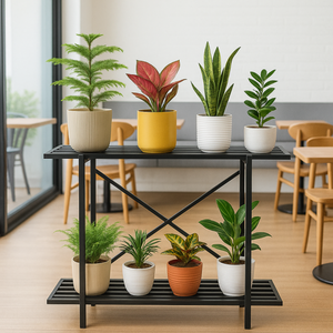 Ecofynd Adam Metal Plant Stand | 2-Tier Shelf for Indoor & Outdoor Use | Ecofynd