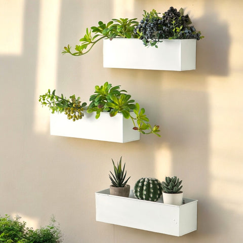 metal wall hanging planter Wall-Mounted Metal Planter Set – Sleek Vertical Garden Style – Ecofynd