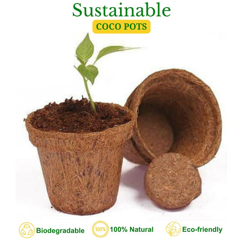 compostable plant pots Ecofynd Biodegradable 4 Inch Coco Coir Pots for Seedlings & Herbs (Set