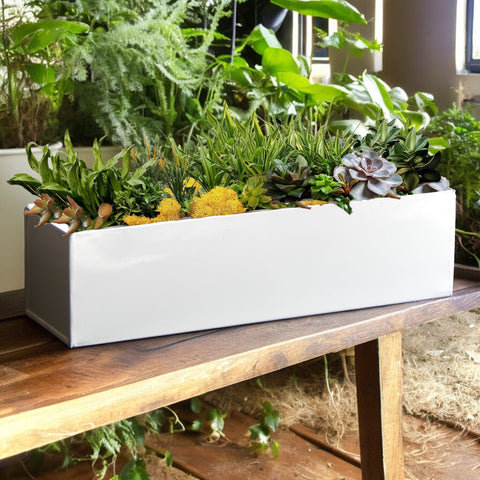 rectangular wall planter indoor Wall-Mounted Metal Planter Set – Sleek Vertical Garden Style – Ecofynd