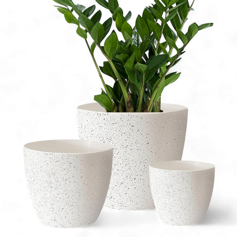 white speckled plant pot Set of 3 White Terracotta Planter Pots – Breathable Clay Pots for Heal – Ecofynd
