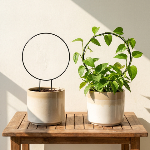 ecofynd Black Iron Garden Trellis for Climbing Plants