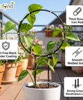 ecofynd Black Iron Garden Trellis for Climbing Plants