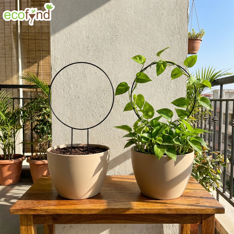 ecofynd Black Iron Garden Trellis for Climbing Plants