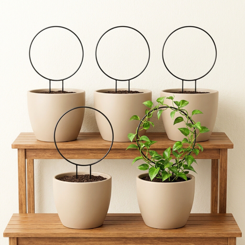 ecofynd Black Iron Garden Trellis for Climbing Plants