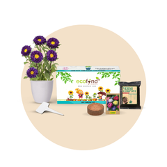 Plant Care/ Support