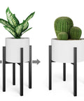 ecofynd Daxton Adjustable Plant Stand – Elevate Your Green Space with Style & Strength