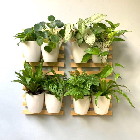wooden frame for hanging plants Nature's Frame – Wooden Wall Planter by Ecofynd