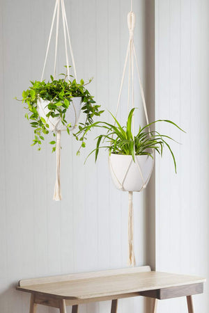 ecofynd Minimalist Macrame Plant Hanger (Set of 2)