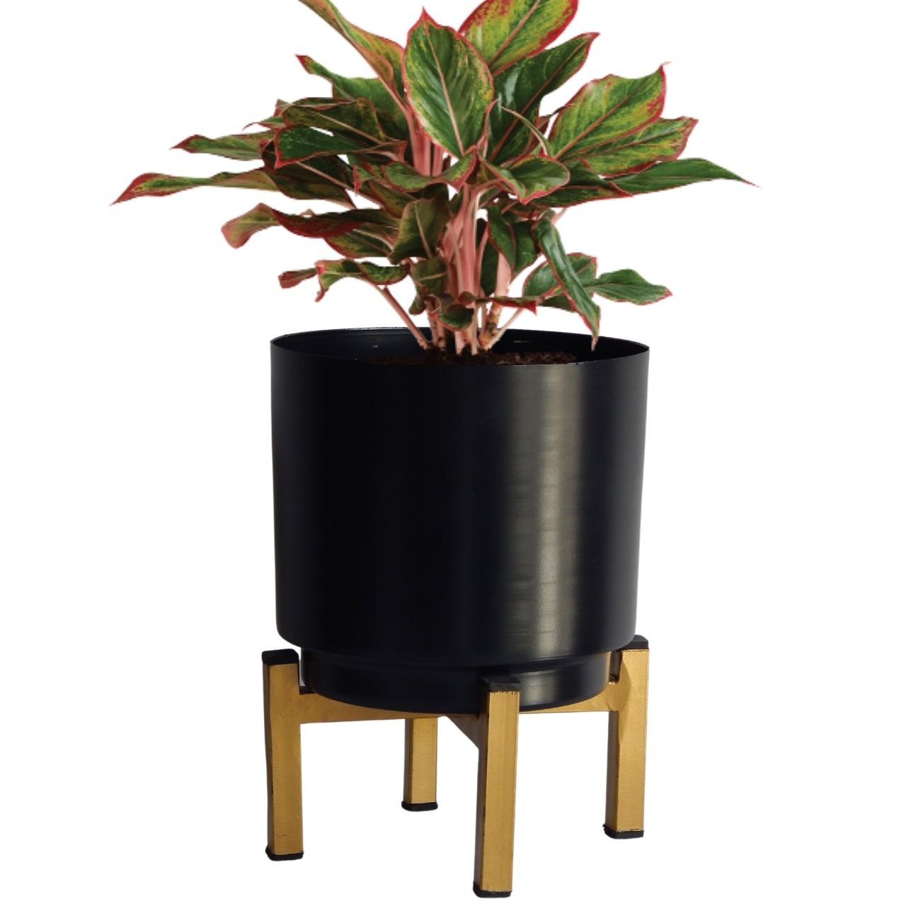 Charles Black Metal Plant Pot with Stand