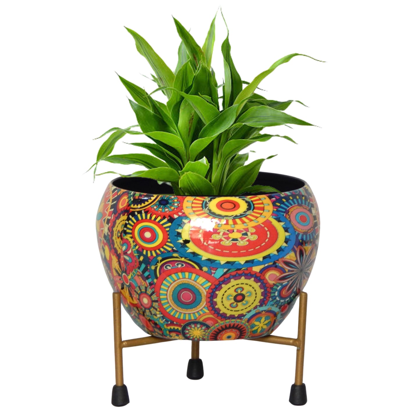Lio Multicolor Metal Pot with Stand