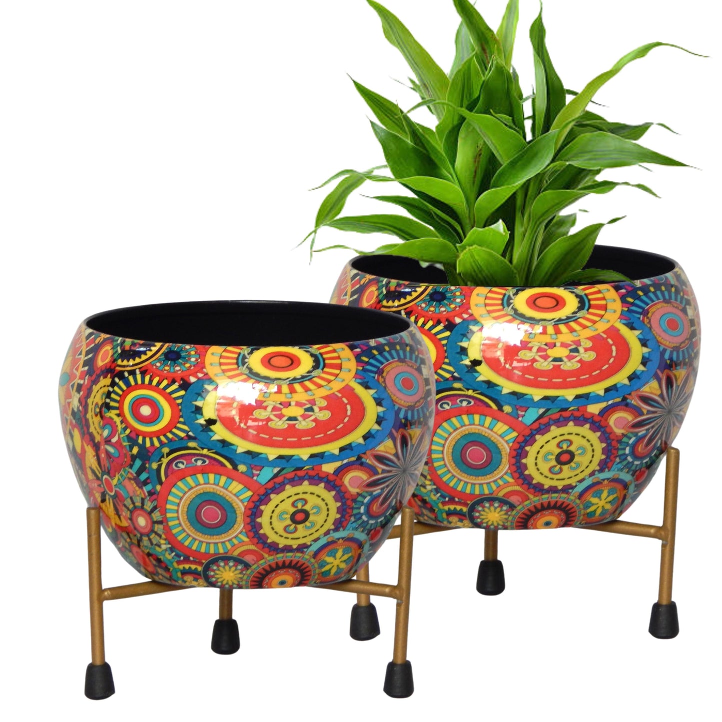 Lio Multicolor Metal Pot with Stand