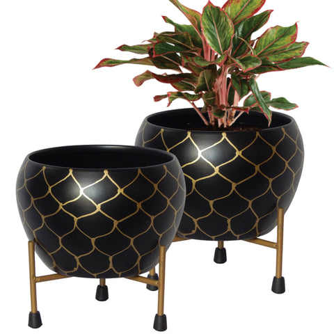 black and gold plant pot stand Lio Black/Gold Metal Pot with Stand (Elegant Compact Planter) – Ecofynd