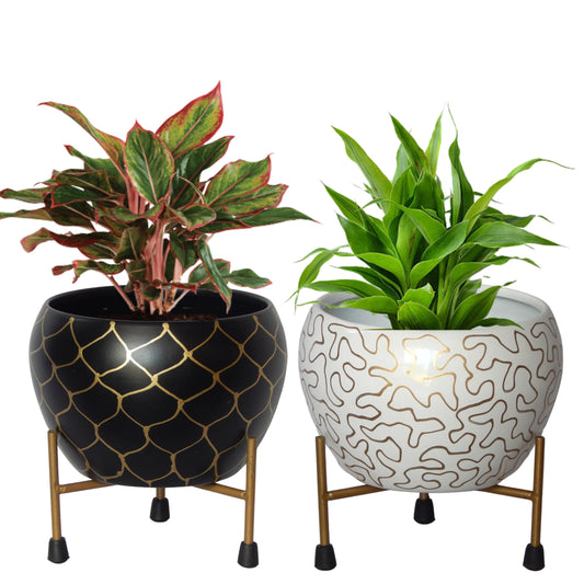 Lio Metal Pot with Stand (Set of 2)