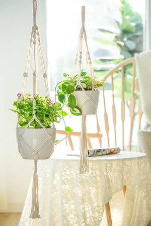 ecofynd Twisted Macrame Plant Hanger (Set of 2)