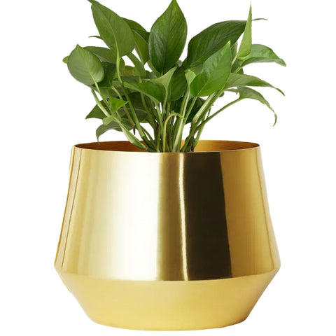 gold plant pot uk Alice JR Gold Metal Plant Pot – Ecofynd