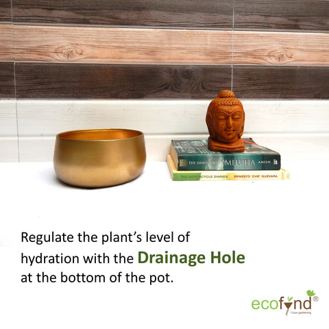 ecofynd Gleam & Green: Zoe Gold Metal Pot by Ecofynd