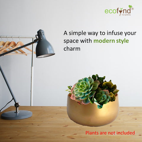 ecofynd Gleam & Green: Zoe Gold Metal Pot by Ecofynd