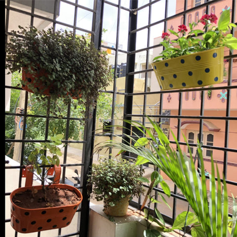 ecofynd Red and Yellow Oval Polka Railing Planter Set (Rust-Resistant Iron Boxes)