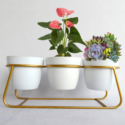 white and gold plant pot Ecofynd Bella White Metal Plant Pot with Gold Stand – Modern Indoor De
